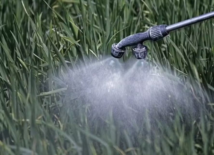 Bayer negocia resolução de processos sobre glifosato