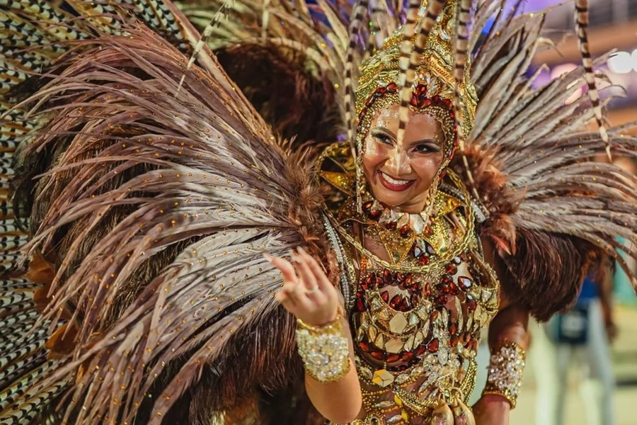 Sambas-enredo das escolas compartilham detalhe curioso