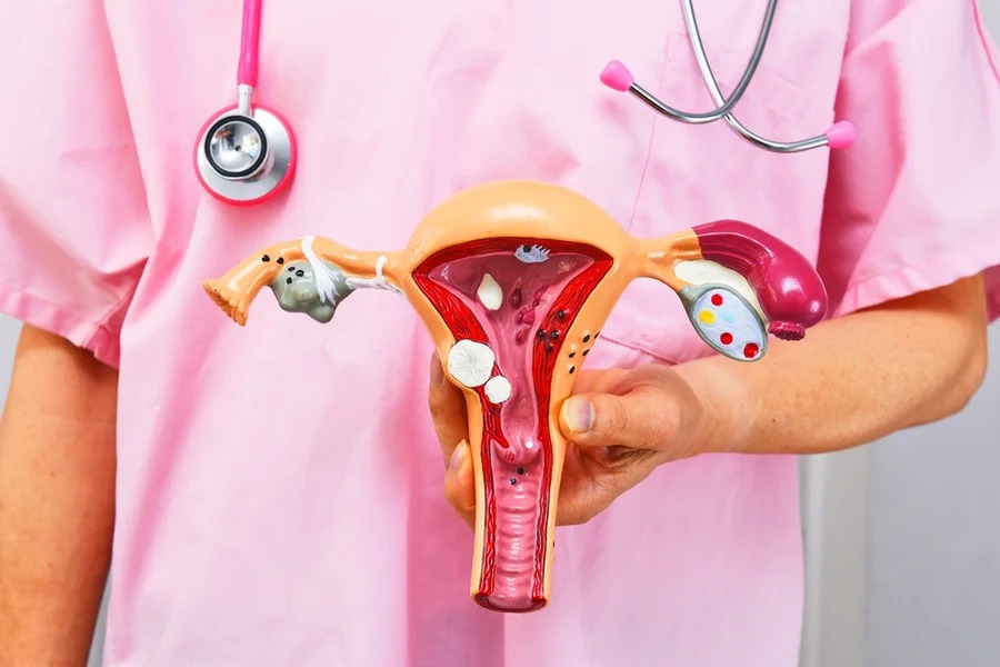 Entenda sintomas e formas de prevenção da doença