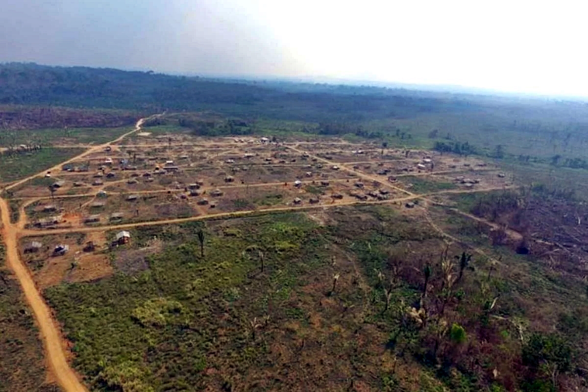 Justiça pode rever redução da Floresta em Rondônia