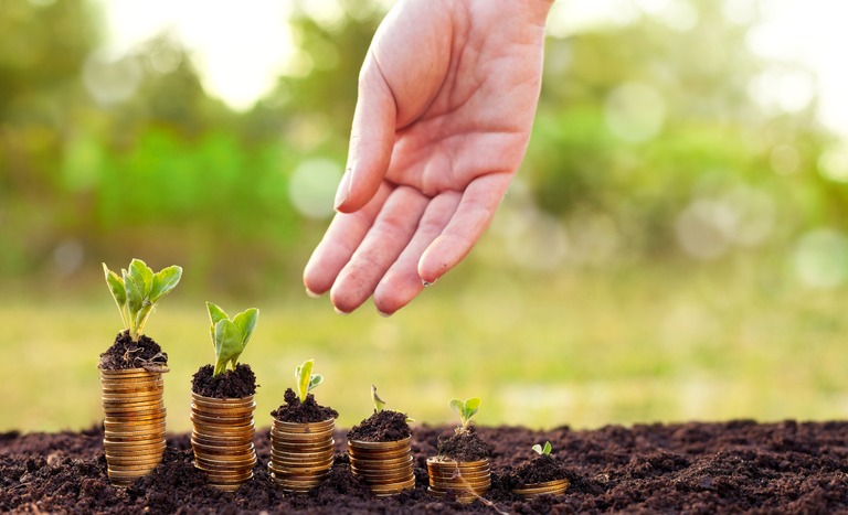 Estratégias ajudam produtores a baixar dívidas no campo