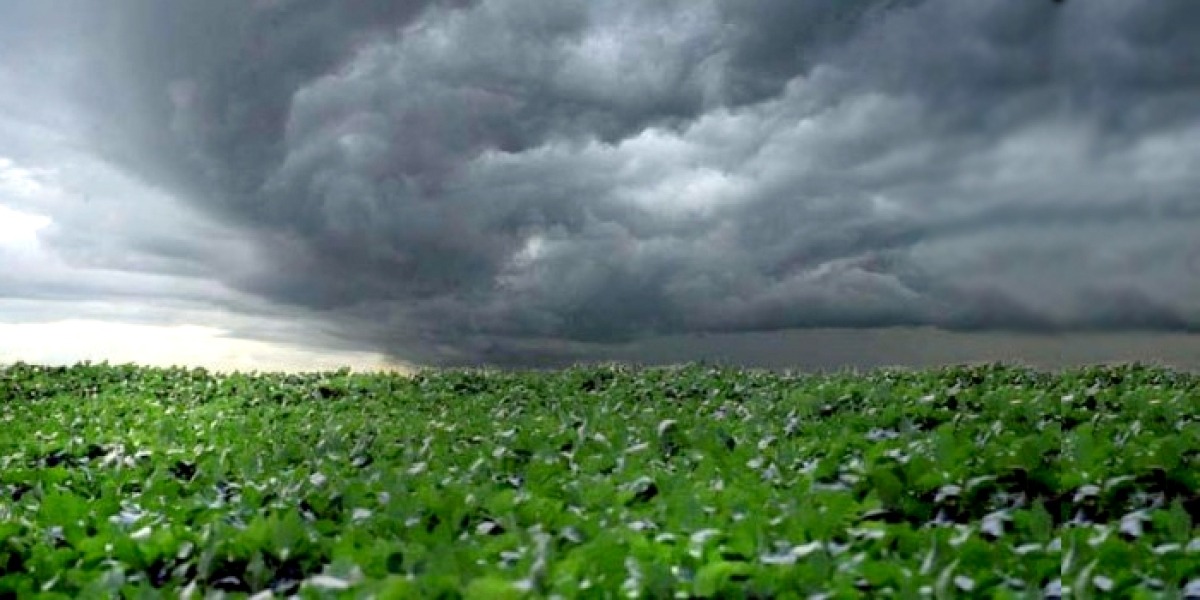 Relatório aponta contraste climático entre regiões