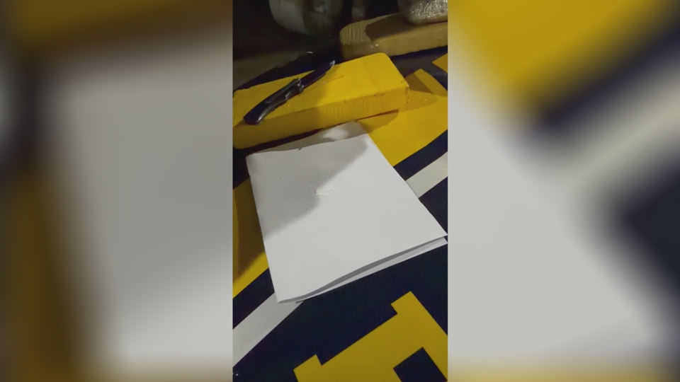 Operação "Rosas de Aço" em Porto Velho contra a Violência de Gênero