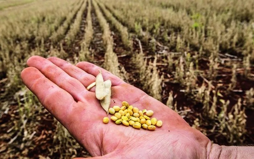 Empresas defendem mais recursos para seguro agrícola