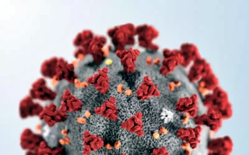 Jaru registra nove infectados pela Covid-19, neste domingo, 27