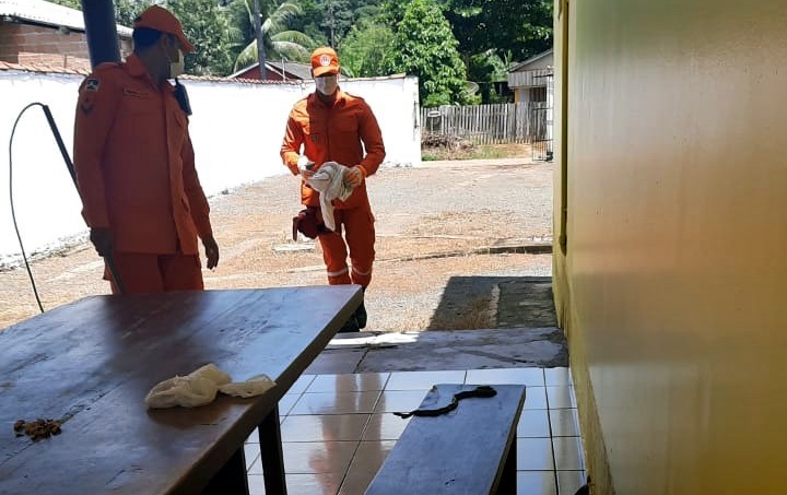 Cobra é capturada pelos Bombeiros, na Massa FM Jaru