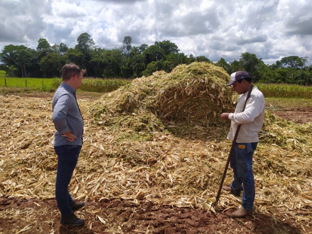 Mais um produtor recebe auxílio da prefeitura de Jaru para colheita de milho e produção de silagem