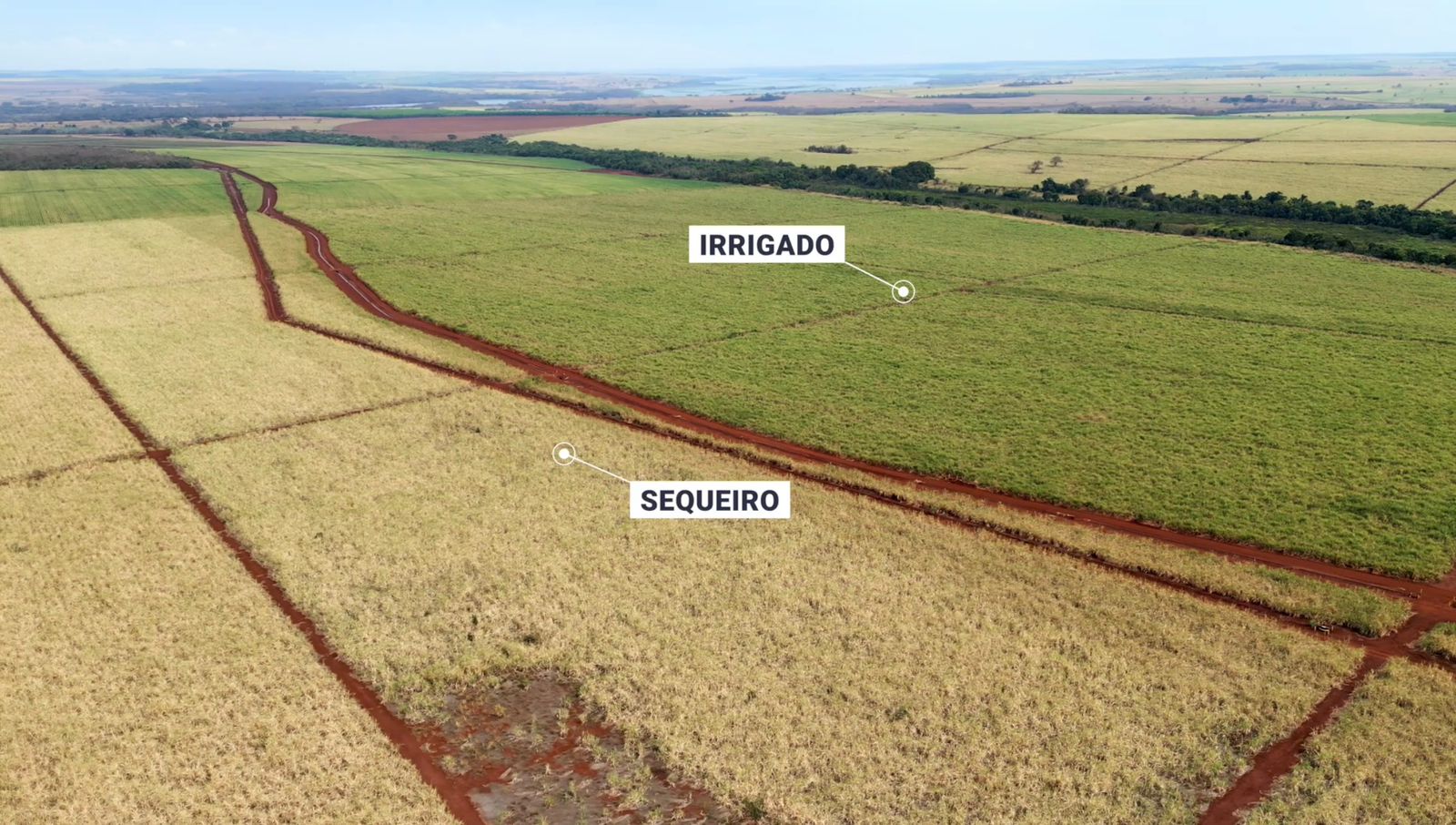Irrigação vira chave produtiva na Fazenda Guarita