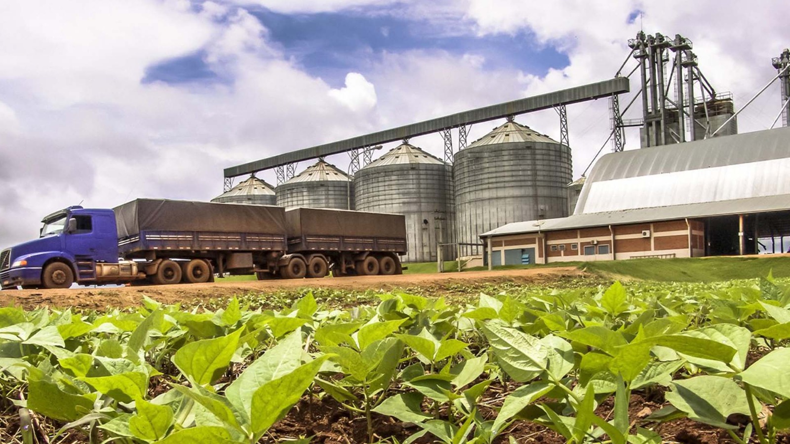 Decisão judicial beneficia Aliança Agrícola em processo