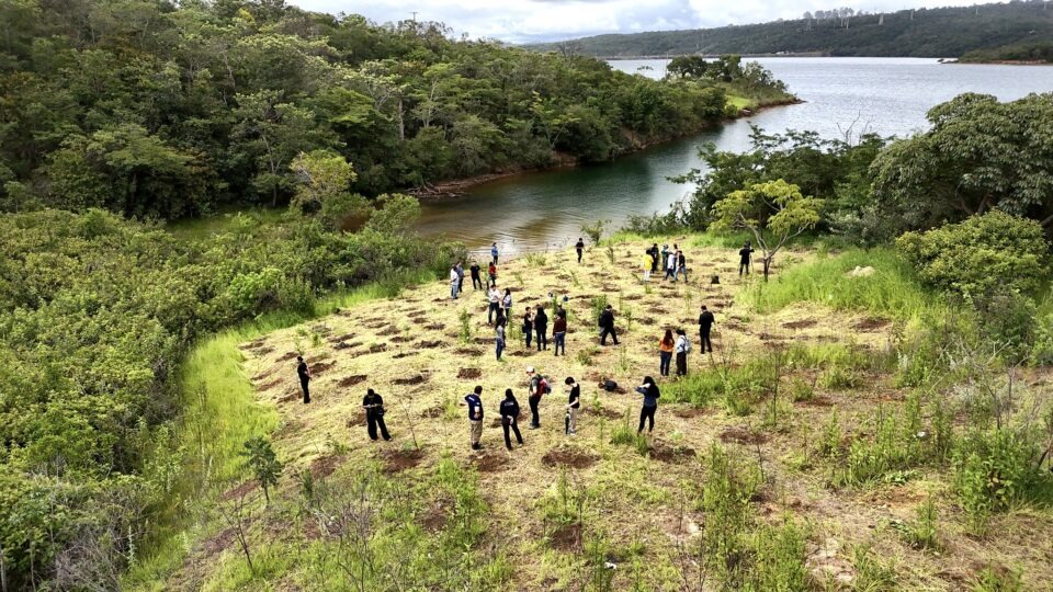 Decisão judicial veta uso de área ambiental para o BRB