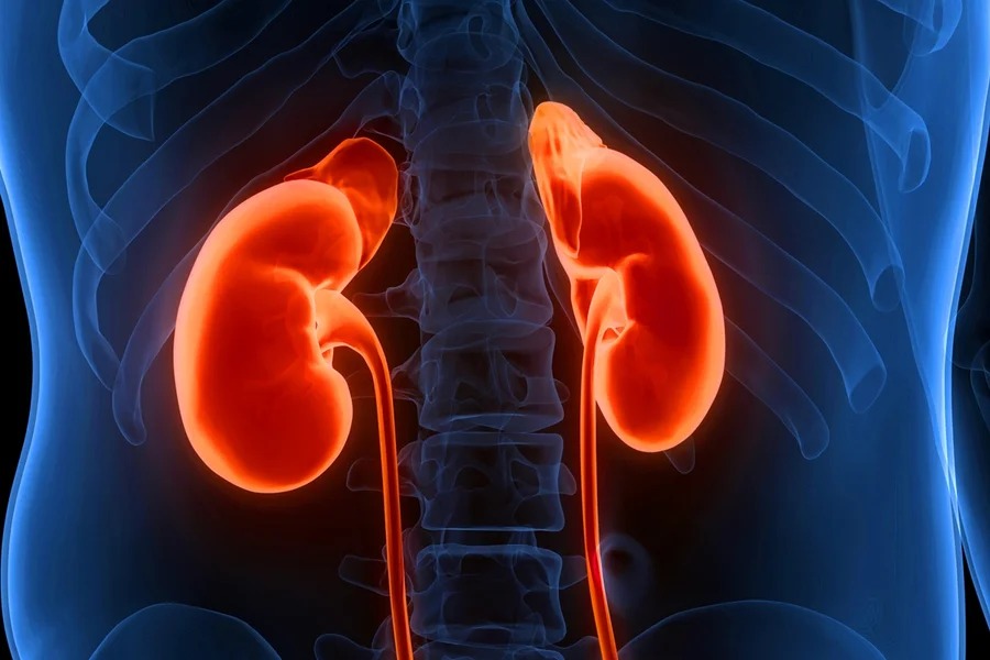 Cinco hábitos podem prejudicar os rins, diz nefrologista