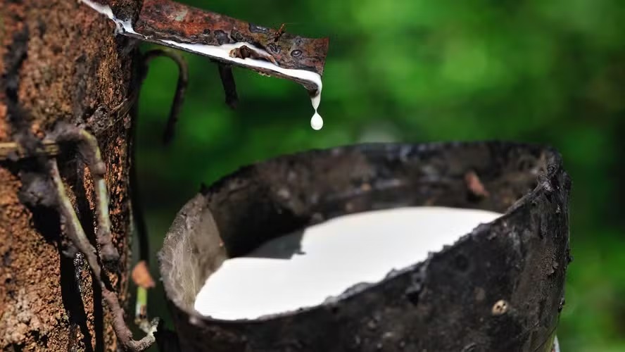 Recurso de R$ 22,2 milhões impulsionam setor da borracha