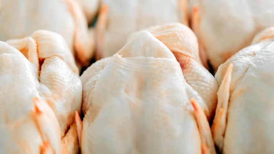 Produção em alta pressiona queda no preço do frango