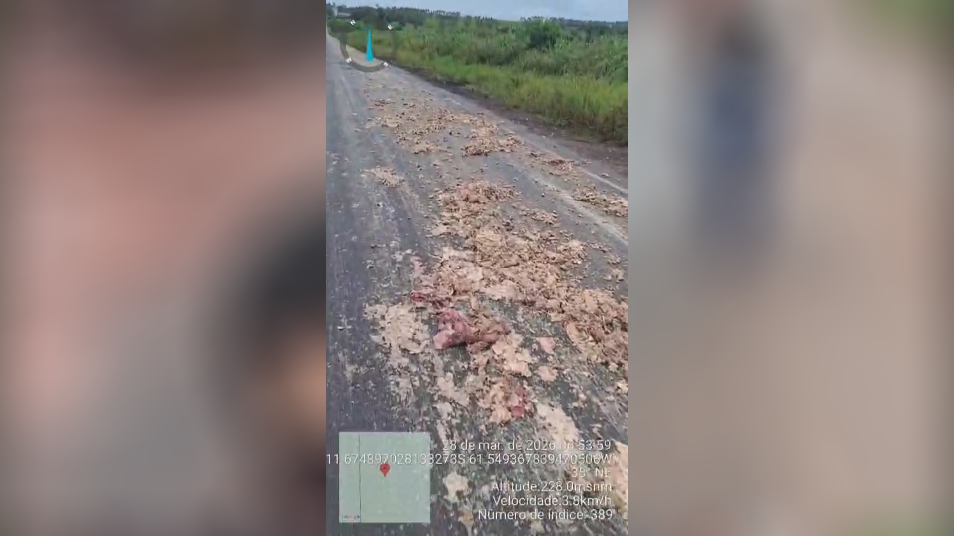 Caminhão de frigorífico derrama vísceras e sebo de animais na RO-383, em Cacoal