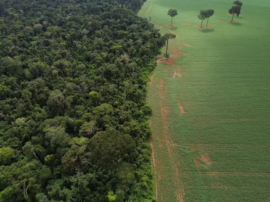 Nova exigência ambiental reduz riscos no financiamento agrícola