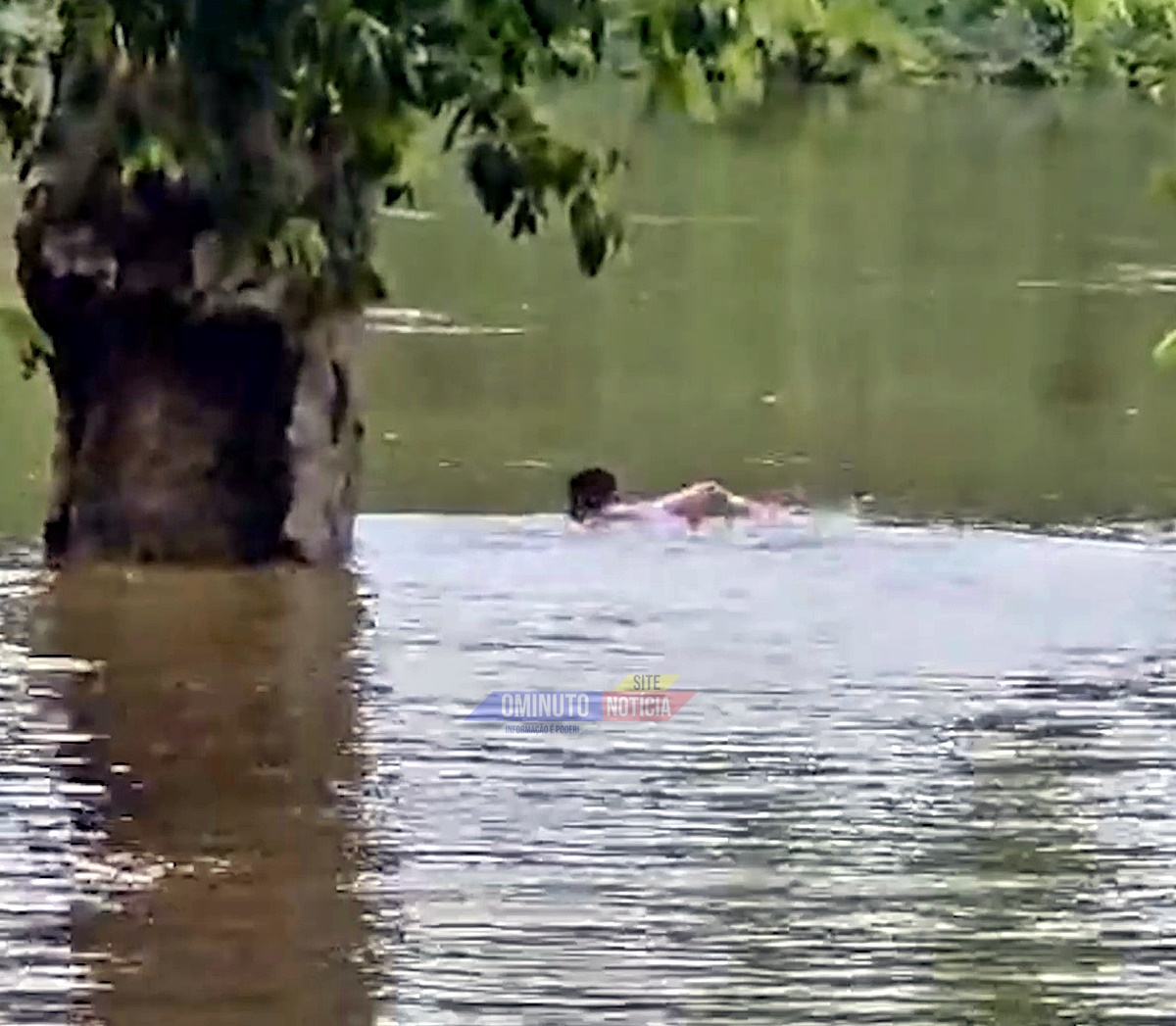 Polícia Civil apreende quase 40 KG de maconha em Ariquemes