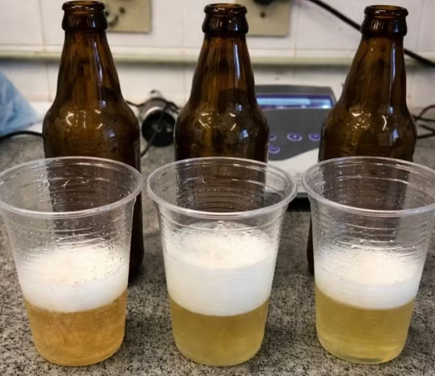 Nova bebida combina caju e soro de leite em projeto inovador