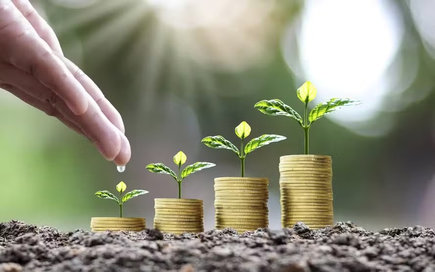 Agro deve ganhar novos instrumentos no mercado de capitais