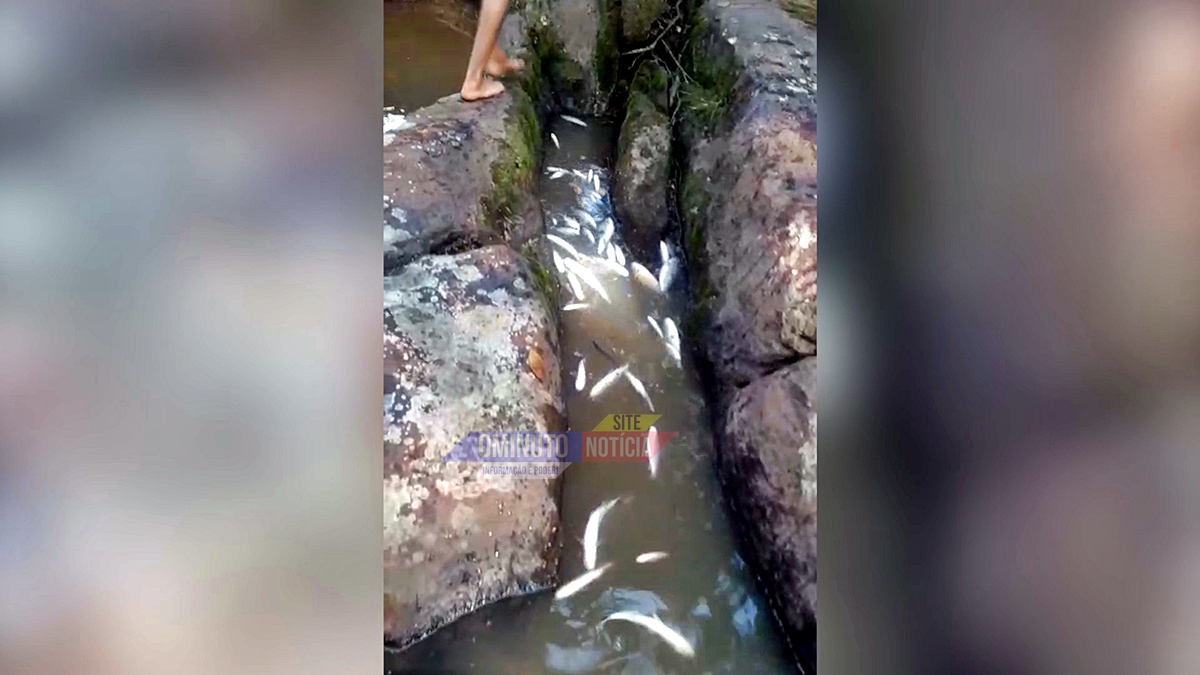 MP-RO arquiva caso de mortandade de peixes em Cacoal