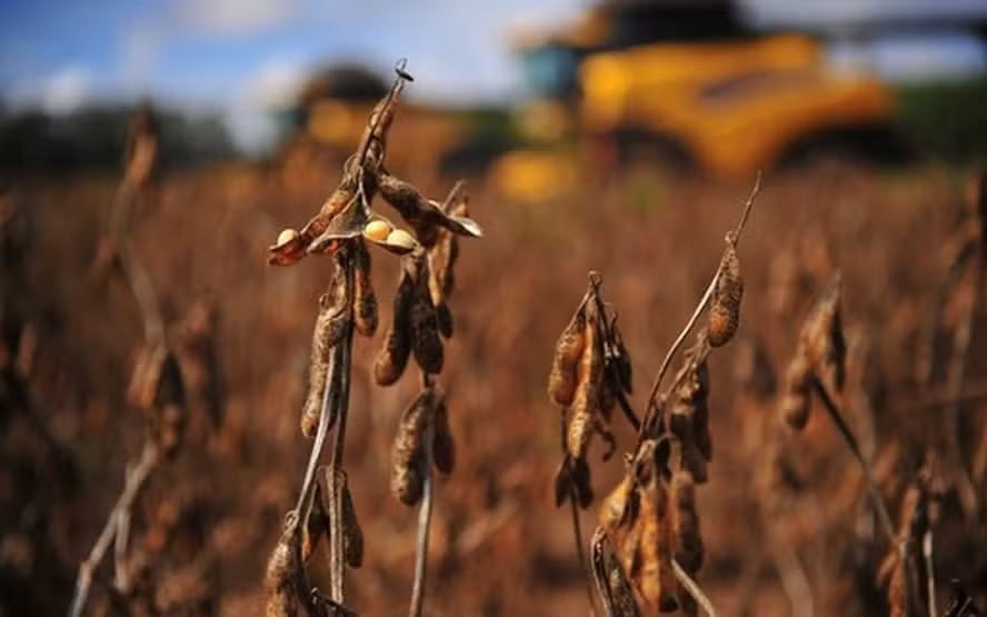 Fazenda avalia incluir setor rural em pacote de alívio financeiro