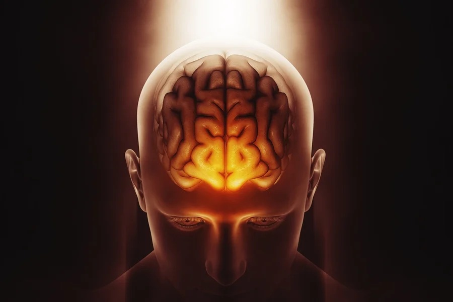 Idade do amadurecimento do cérebro ainda gera dúvidas