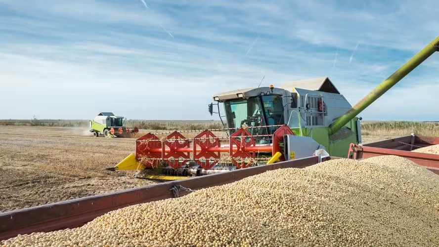 Preços da soja recuam diante de vendas retraídas