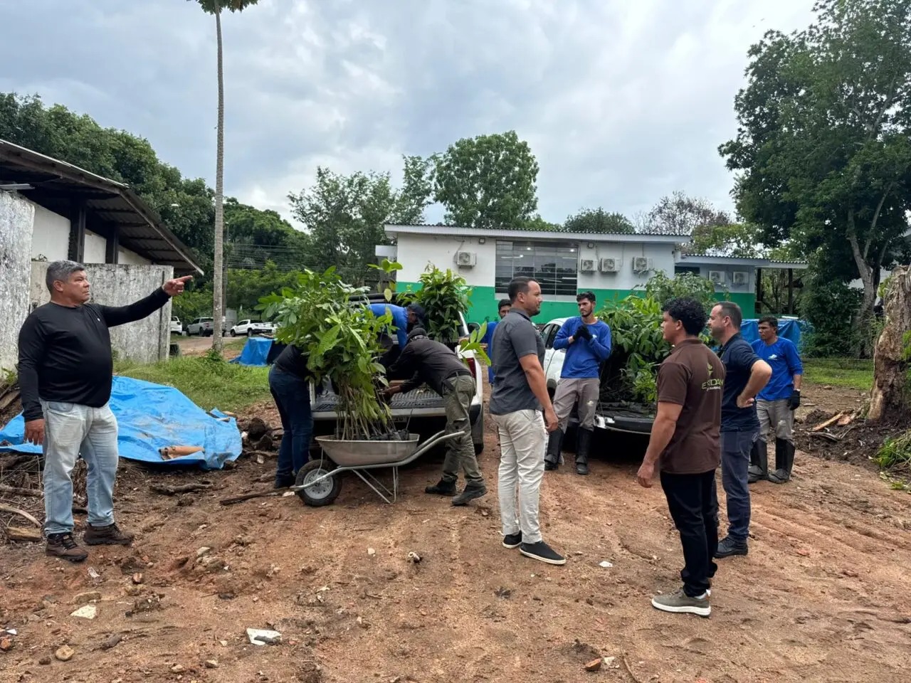 Mudas nativas impulsionam recuperação ambiental em Rondônia