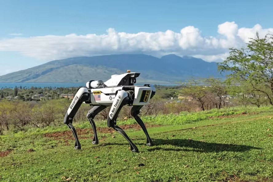 Robô em forma de cão reforça segurança e combate incêndios em lavouras