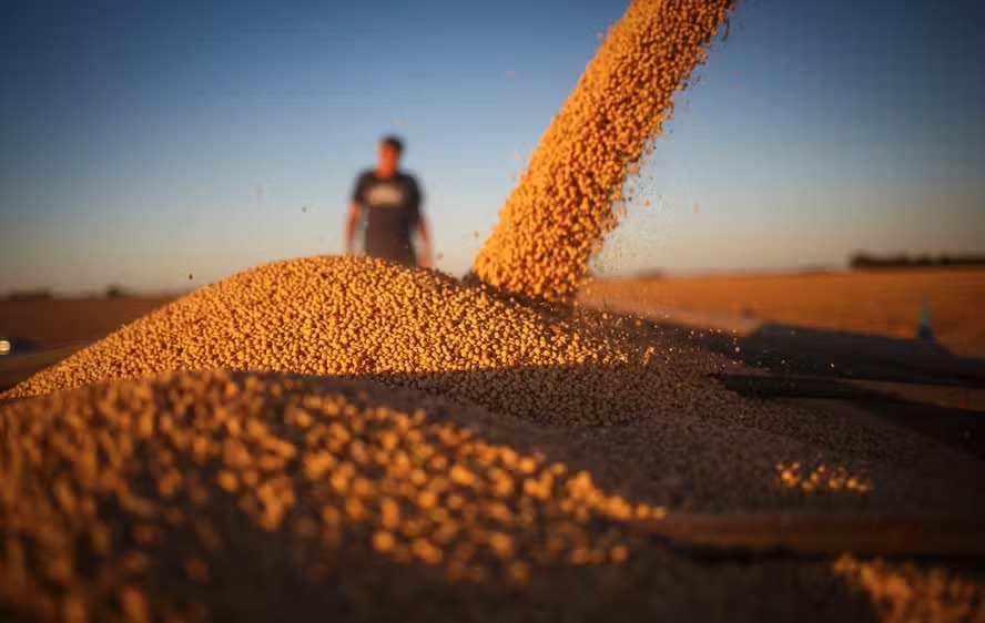 Grãos registram valorização no fechamento em Chicago