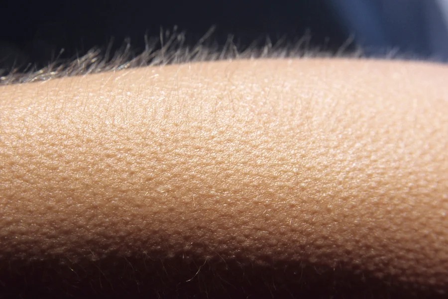 Neurologista detalha limites da intuição humana