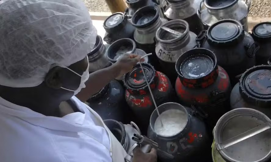 Nova linha de crédito do Pronaf é aprovada para cooperativas de leite pelo CMN