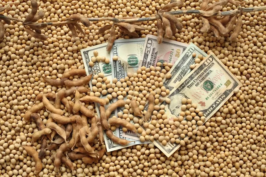 Grãos em Chicago têm estabilidade com melhora no clima nos EUA