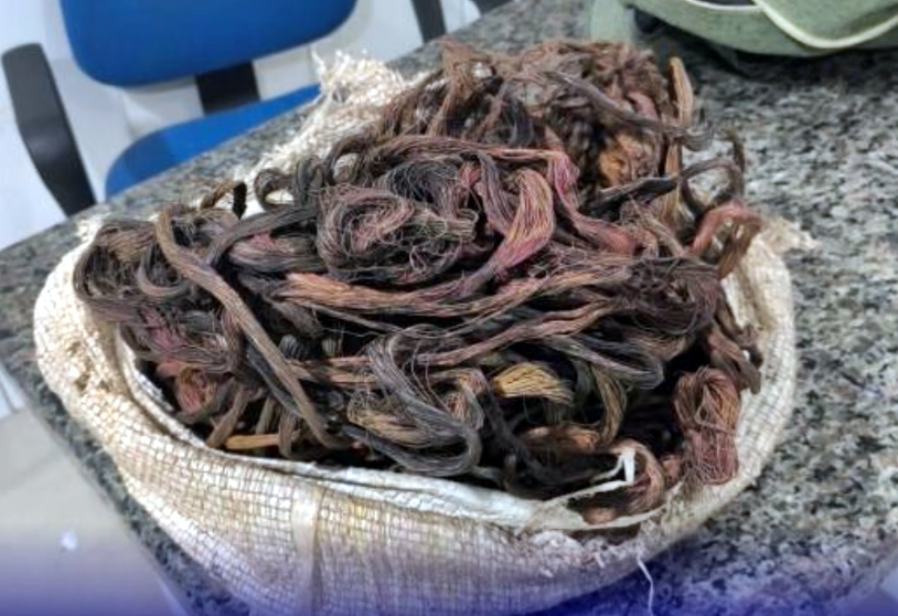 Dupla é flagrada com 15 quilos de fios de cobre e levada à delegacia em Cacoal