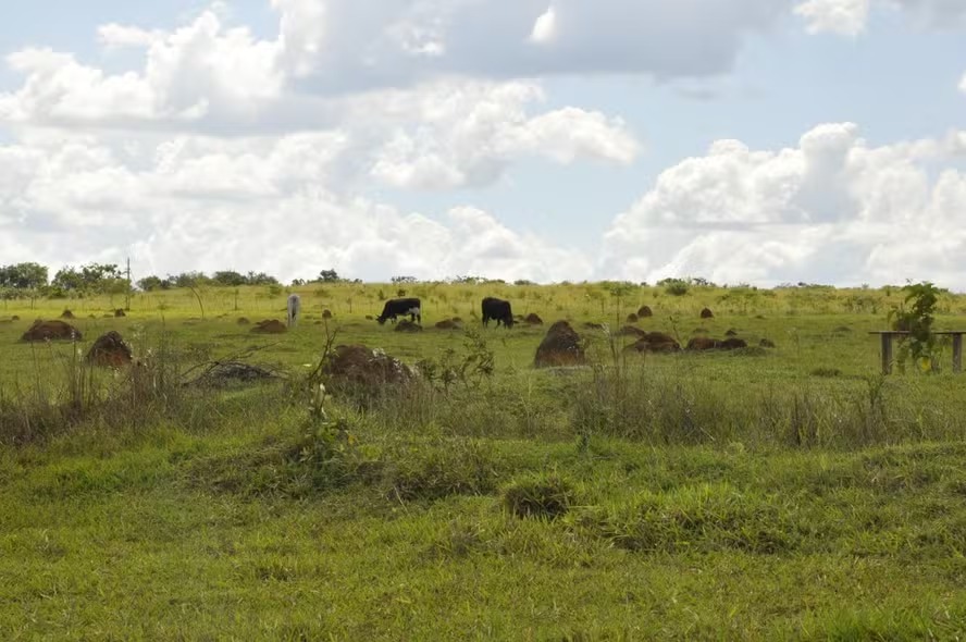 Entidades cobram critérios socioambientais no Pronaf