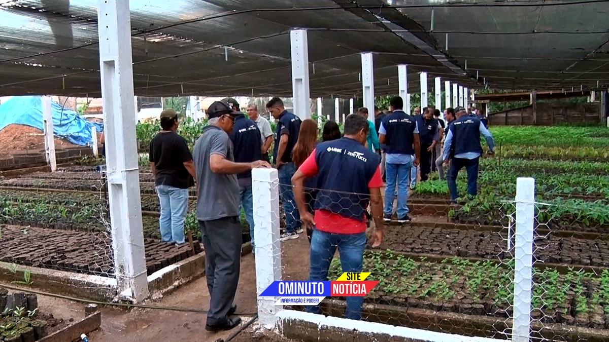 Imagem 2