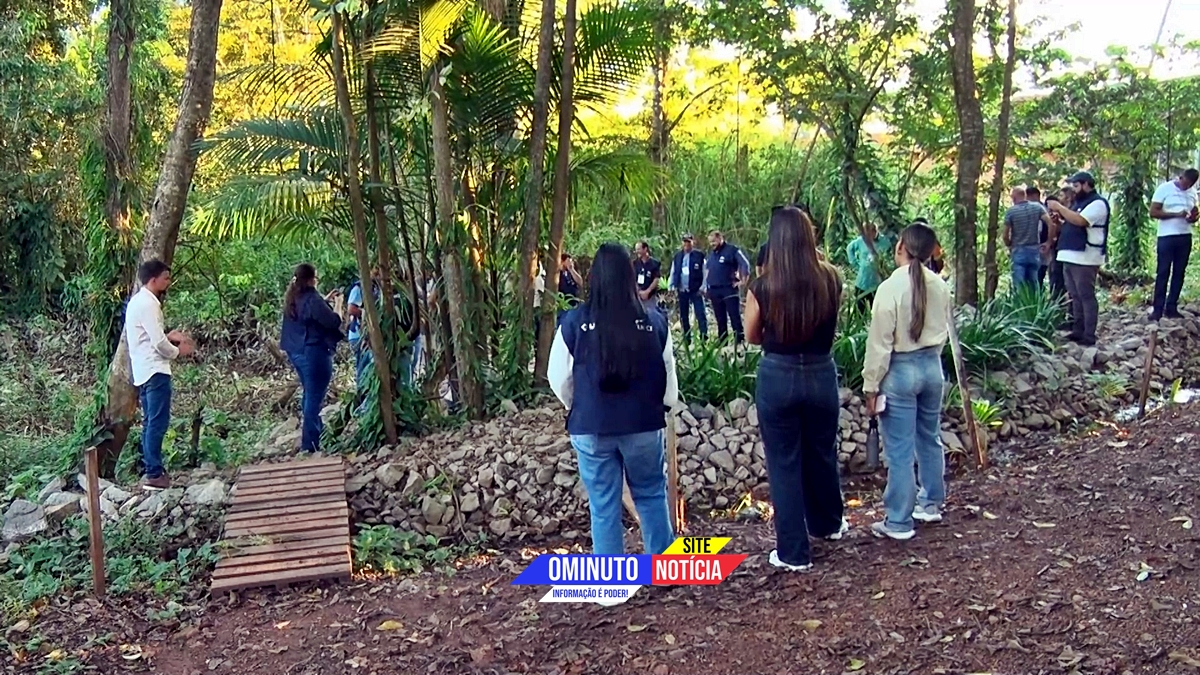 Imagem 1