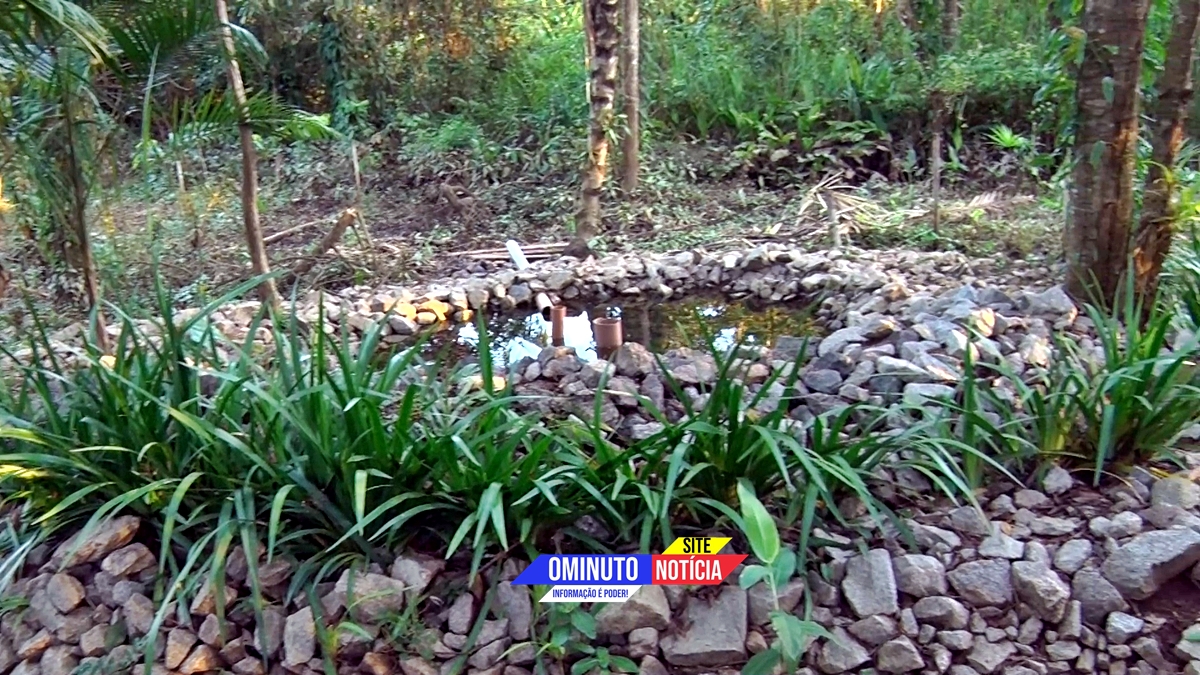Imagem 5