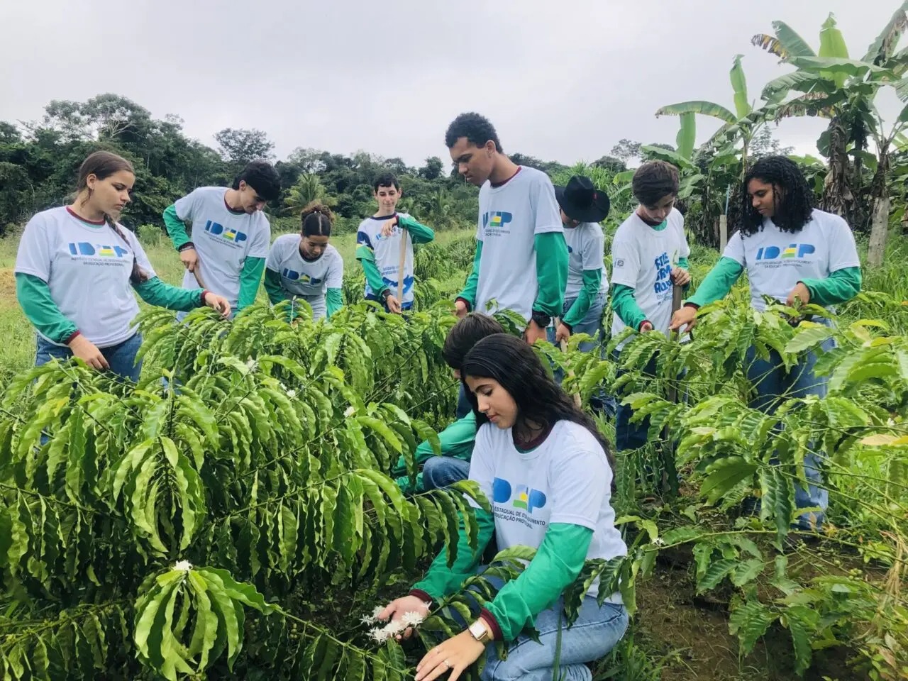 Formação técnica fortalece jovens na agricultura familiar rondoniense