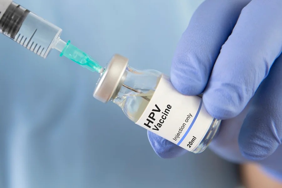 Vacina experimental contra HPV demonstra ação em células tumorais