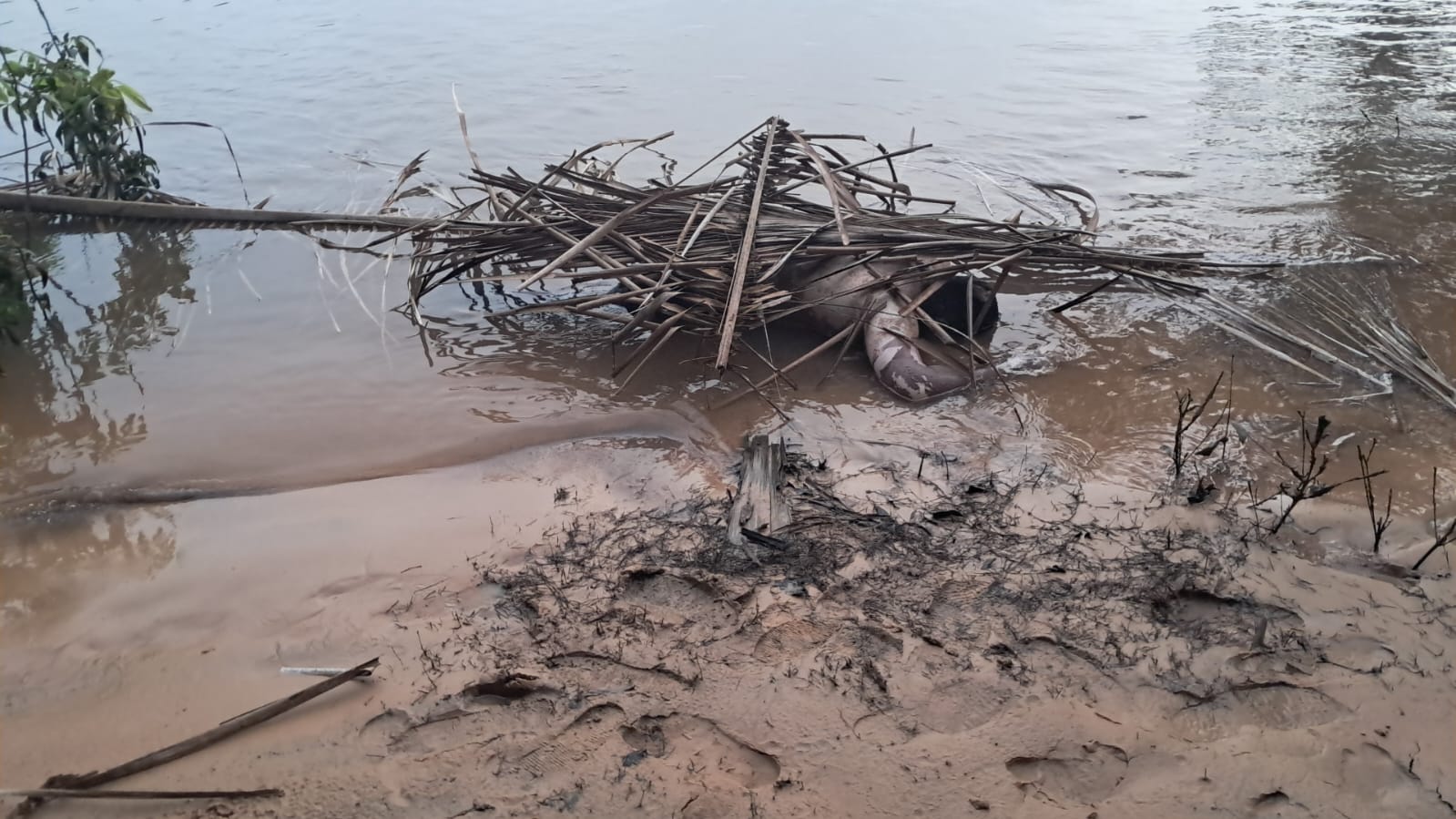 Cinco mortos afogados encontrados no Rio Machado
