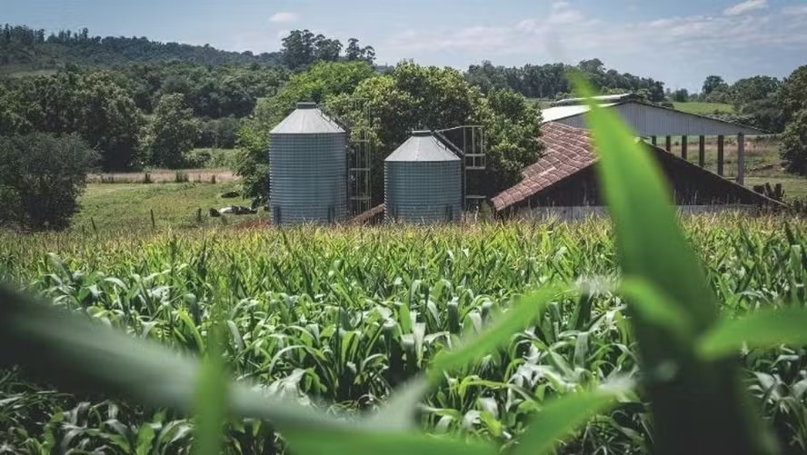 Próximo Plano Safra deve incluir fundo garantidor agrícola