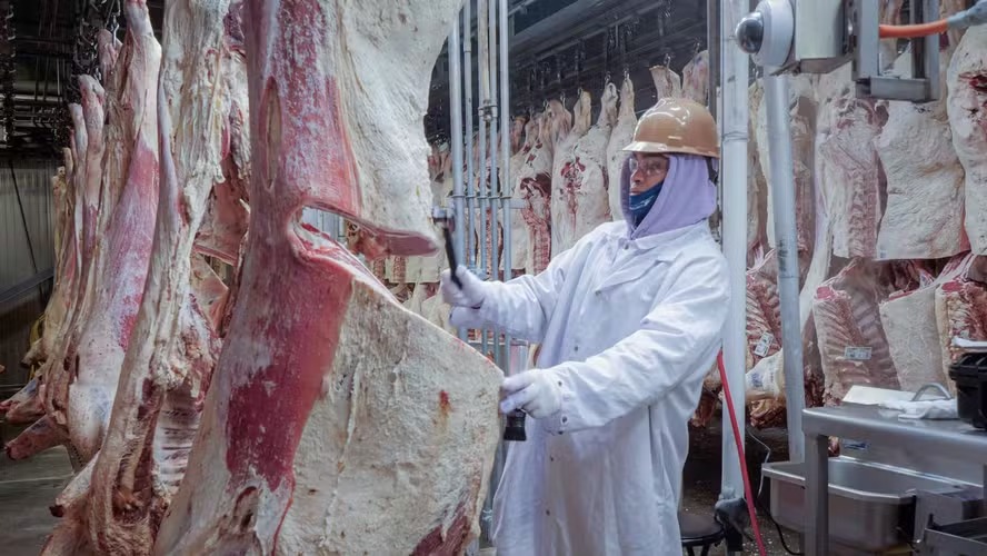 Conflito com a China retarda liberação de frigoríficos nos EUA