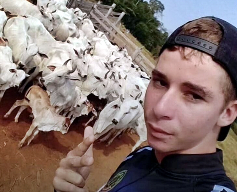 Jovem morre após sofrer descarga elétrica durante colheita de café em Alvorada do Oeste, RO