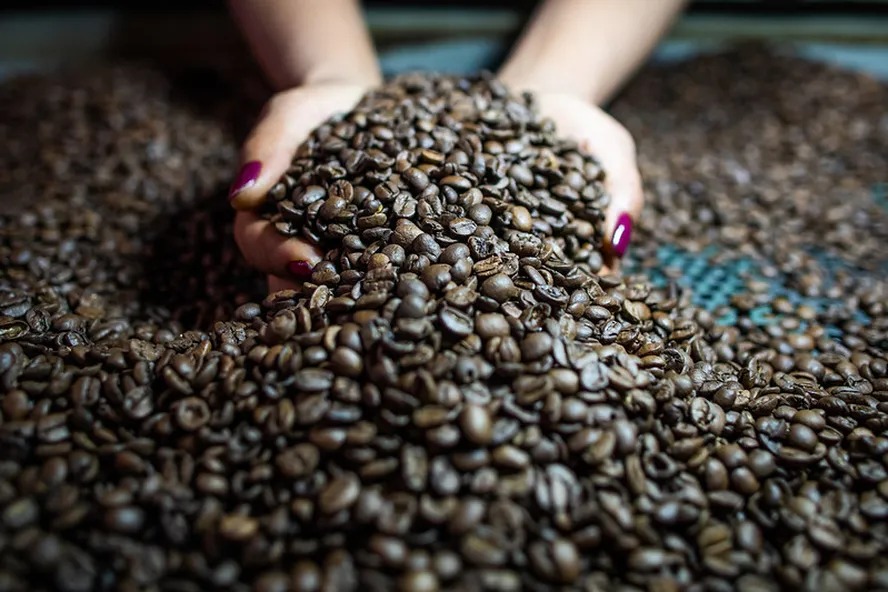 Excesso de oferta derruba preços internacionais do café