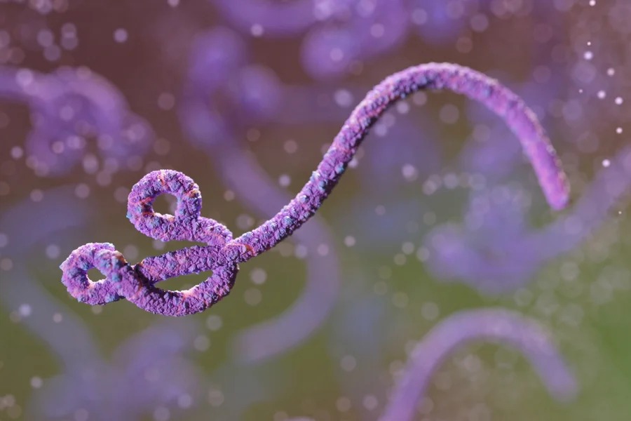 Como o Ebola se espalha? Veja detalhes sobre o surto na África
