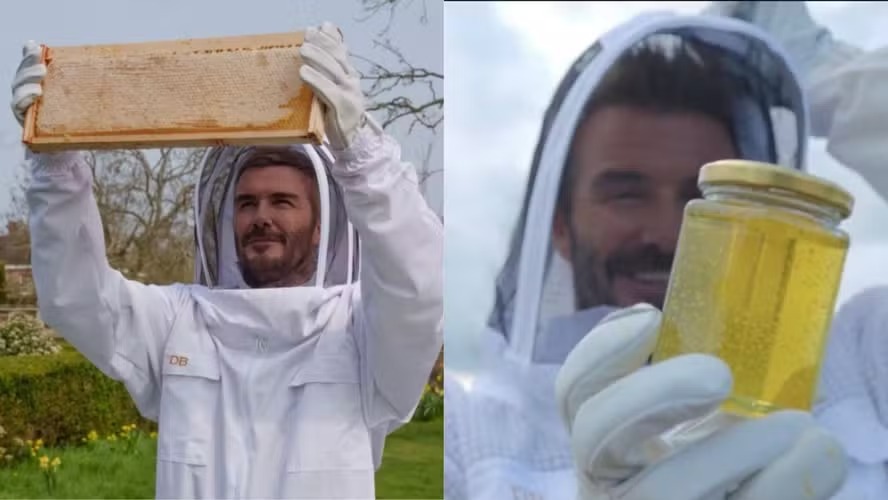 Dia Mundial das Abelhas: Beckham celebra produção de mel e exalta os insetos