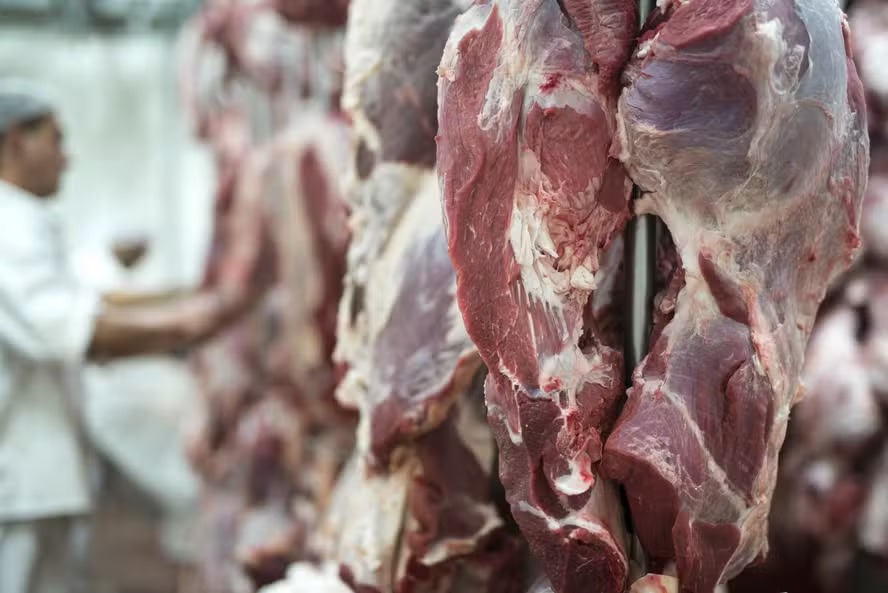 Indústria da carne adapta estratégia de exportação para a China