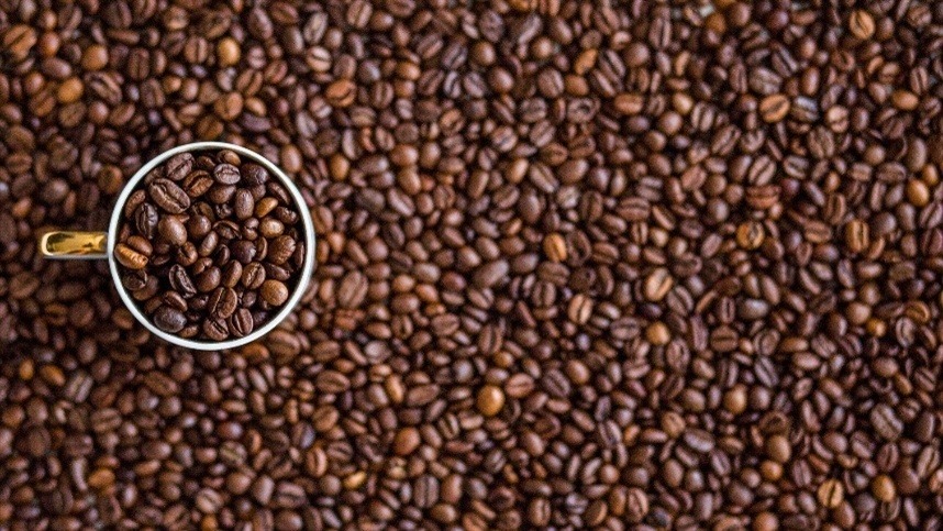 Café deve registrar aumento de 18% na produção em 2026