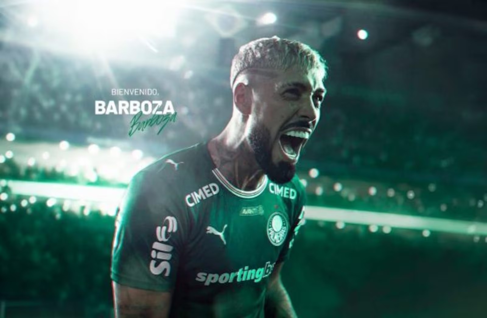 Barboza chega ao Palmeiras e reforça sistema defensivo