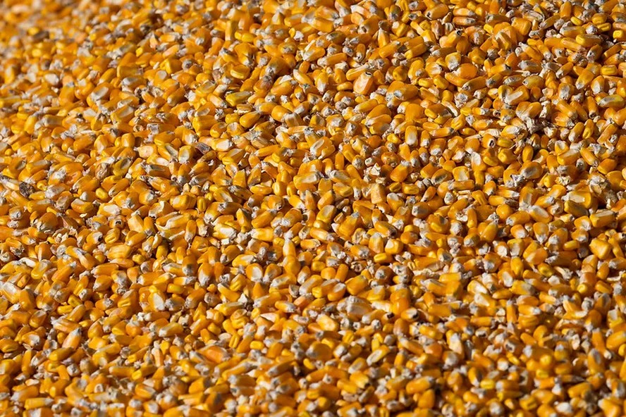 Mercado rural encerra abril com preços estáveis ao produtor